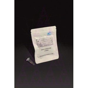 Panty Punch. Photo 2 Panty Punch. Photo 2